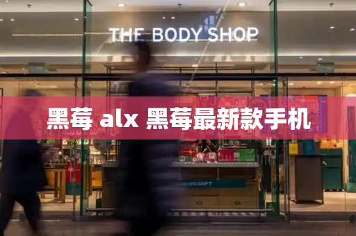 黑莓 alx 黑莓最新款手机-第1张图片-星选测评