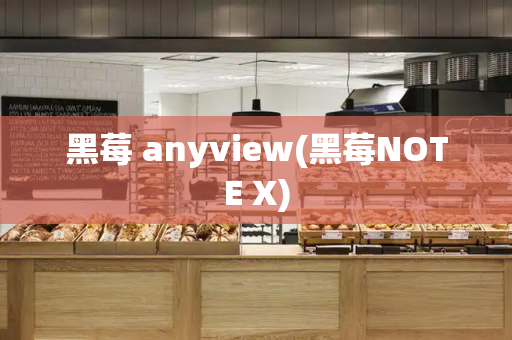黑莓 anyview(黑莓NOTE X)-第1张图片-星选测评