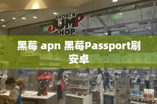 黑莓 apn 黑莓Passport刷安卓-第1张图片-星选测评