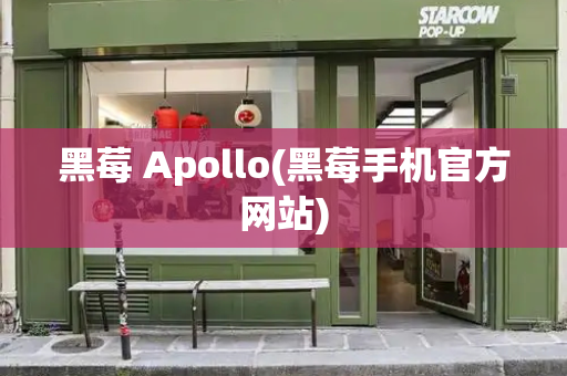 黑莓 Apollo(黑莓手机官方网站)-第1张图片-星选测评