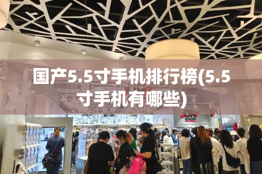 国产5.5寸手机排行榜(5.5寸手机有哪些)