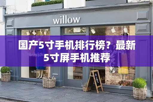 国产5寸手机排行榜？最新5寸屏手机推荐