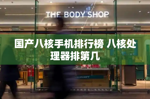 国产八核手机排行榜 八核处理器排第几-第1张图片-星选测评