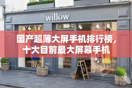 国产超薄大屏手机排行榜，十大目前最大屏幕手机