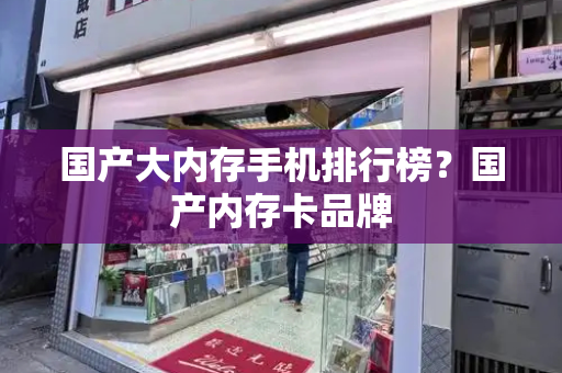 国产大内存手机排行榜？国产内存卡品牌