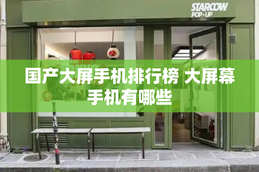 国产大屏手机排行榜 大屏幕手机有哪些-第1张图片-星选测评