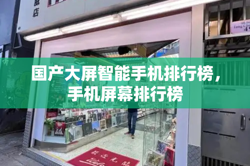 国产大屏智能手机排行榜，手机屏幕排行榜-第1张图片-星选测评