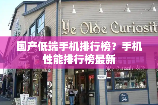国产低端手机排行榜？手机性能排行榜最新