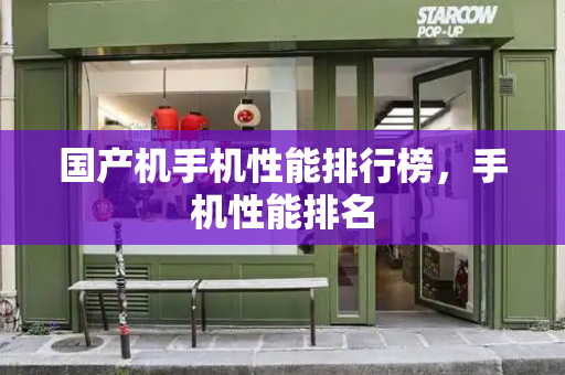 国产机手机性能排行榜，手机性能排名-第1张图片-星选测评
