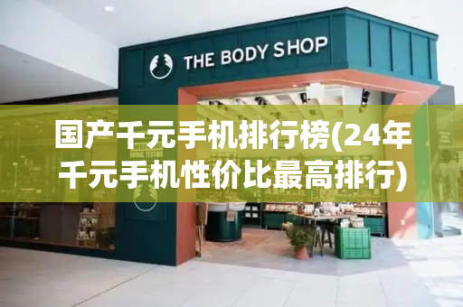 国产千元手机排行榜(24年千元手机性价比最高排行)-第1张图片-星选测评