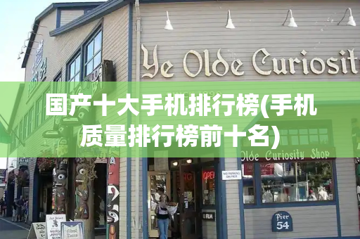 国产十大手机排行榜(手机质量排行榜前十名)-第1张图片-星选测评