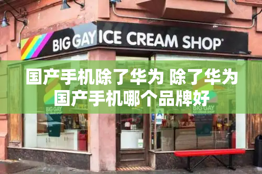 国产手机除了华为 除了华为国产手机哪个品牌好-第1张图片-星选测评
