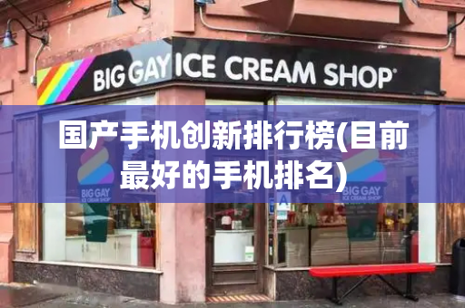 国产手机创新排行榜(目前最好的手机排名)