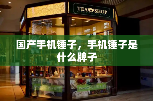 国产手机锤子，手机锤子是什么牌子-第1张图片-星选测评