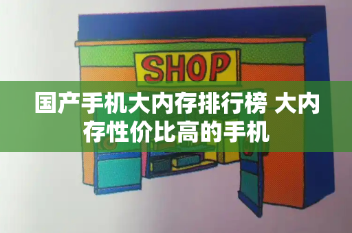 国产手机大内存排行榜 大内存性价比高的手机