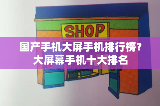 国产手机大屏手机排行榜？大屏幕手机十大排名