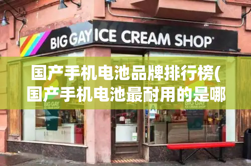国产手机电池品牌排行榜(国产手机电池最耐用的是哪个品牌)