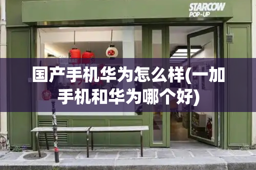 国产手机华为怎么样(一加手机和华为哪个好)-第1张图片-星选测评