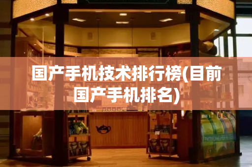 国产手机技术排行榜(目前国产手机排名)