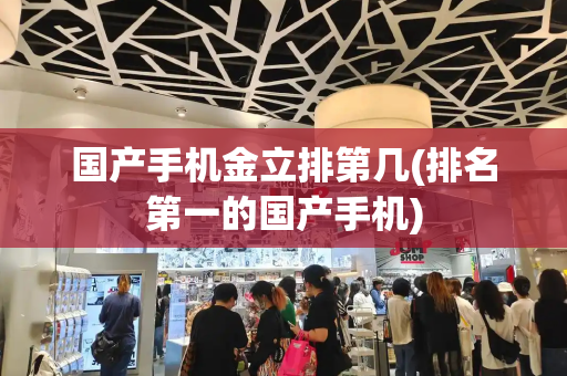 国产手机金立排第几(排名第一的国产手机)-第1张图片-星选测评