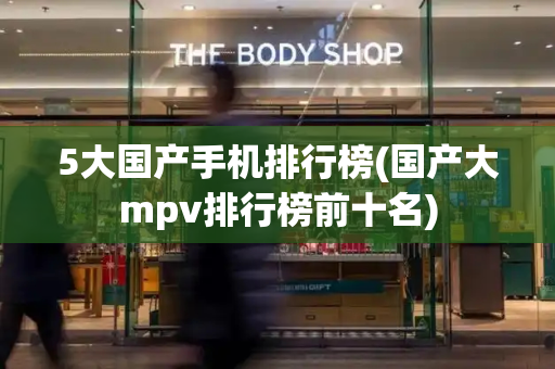 5大国产手机排行榜(国产大mpv排行榜前十名)
