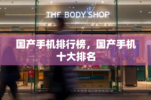 国产手机排行榜，国产手机十大排名-第1张图片-星选测评