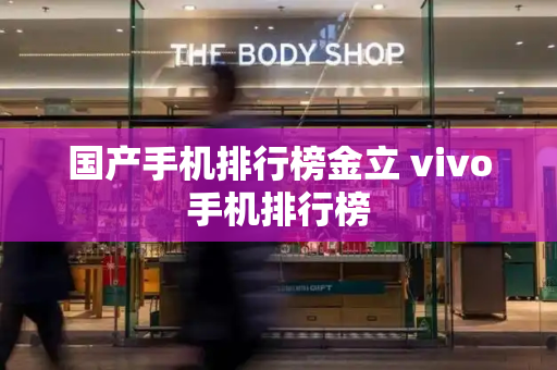 国产手机排行榜金立 vivo手机排行榜-第1张图片-星选测评