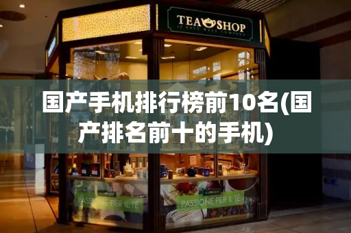 国产手机排行榜前10名(国产排名前十的手机)