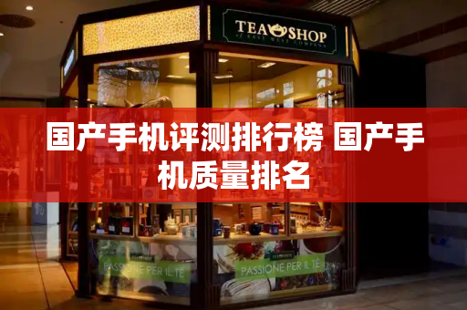 国产手机评测排行榜 国产手机质量排名