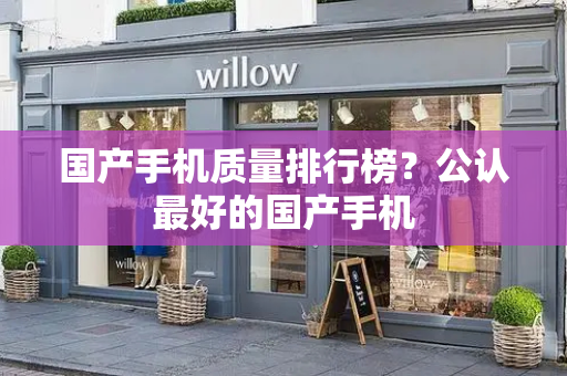 国产手机质量排行榜？公认最好的国产手机-第1张图片-星选测评
