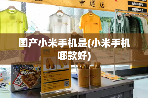 国产小米手机是(小米手机哪款好)-第1张图片-星选测评