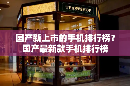 国产新上市的手机排行榜？国产最新款手机排行榜-第1张图片-星选测评