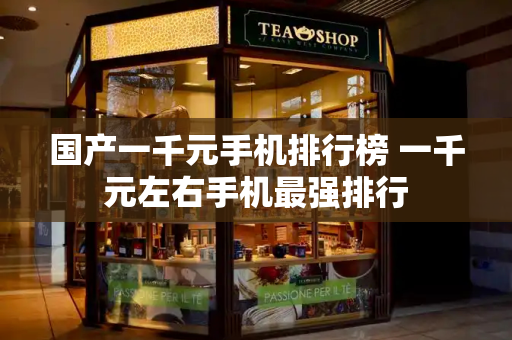 国产一千元手机排行榜 一千元左右手机最强排行