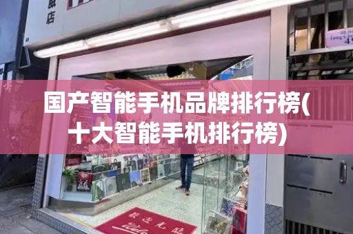 国产智能手机品牌排行榜(十大智能手机排行榜)