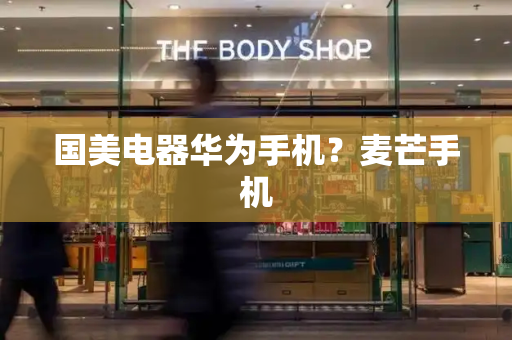 国美电器华为手机？麦芒手机-第1张图片-星选测评
