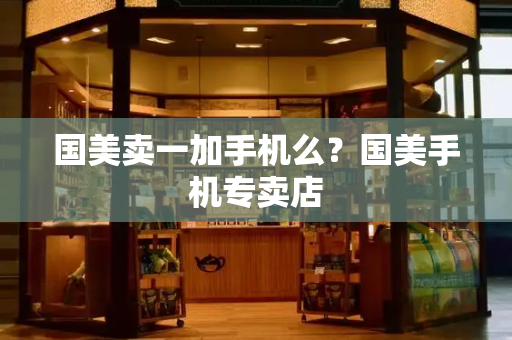 国美卖一加手机么？国美手机专卖店-第1张图片-星选测评