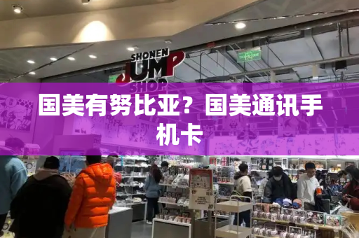 国美有努比亚？国美通讯手机卡-第1张图片-星选测评