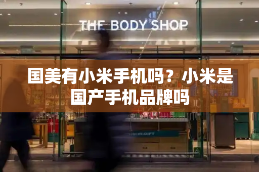 国美有小米手机吗？小米是国产手机品牌吗-第1张图片-星选测评