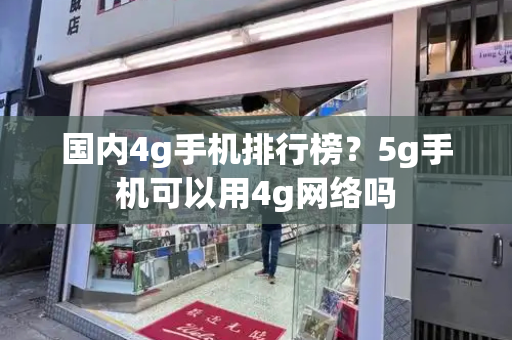 国内4g手机排行榜？5g手机可以用4g网络吗