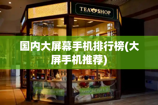 国内大屏幕手机排行榜(大屏手机推荐)