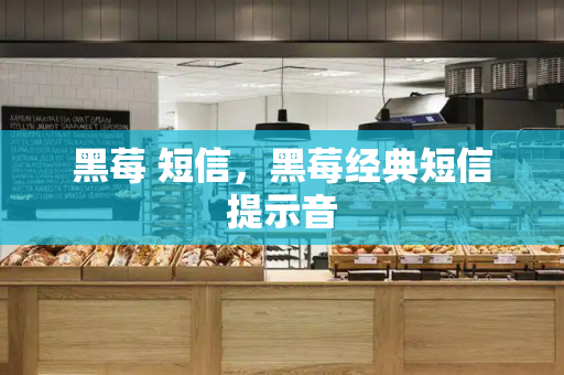 黑莓 短信，黑莓经典短信提示音