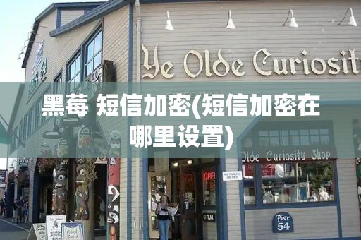 黑莓 短信加密(短信加密在哪里设置)-第1张图片-星选测评