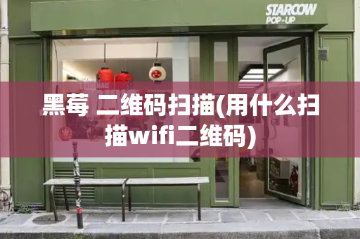 黑莓 二维码扫描(用什么扫描wifi二维码)