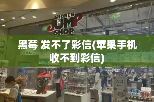 黑莓 发不了彩信(苹果手机收不到彩信)-第1张图片-星选测评