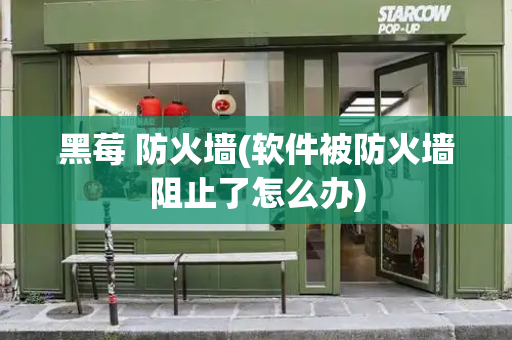 黑莓 防火墙(软件被防火墙阻止了怎么办)-第1张图片-星选测评