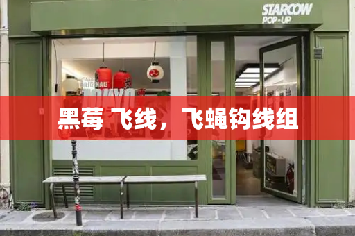 黑莓 飞线，飞蝇钩线组-第1张图片-星选测评