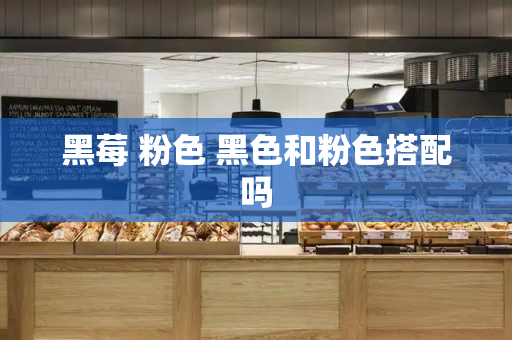 黑莓 粉色 黑色和粉色搭配吗