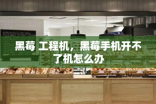 黑莓 工程机，黑莓手机开不了机怎么办-第1张图片-星选测评