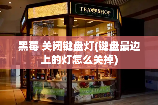 黑莓 关闭键盘灯(键盘最边上的灯怎么关掉)