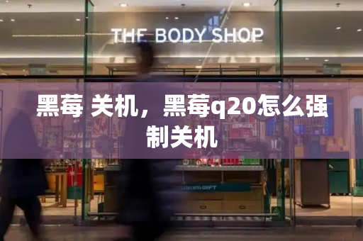 黑莓 关机，黑莓q20怎么强制关机-第1张图片-星选测评